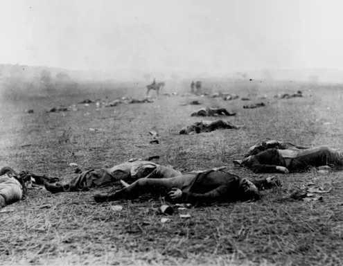 Dead soldiers and horses scattered across a battlefield, shrouded in mist.